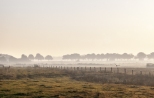 Dawn, De Regte Heide - Tilburg