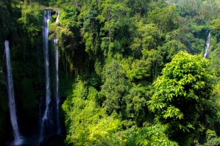 Sekumpul waterfalls